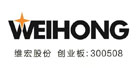 上海维宏电子科技股份有限公司